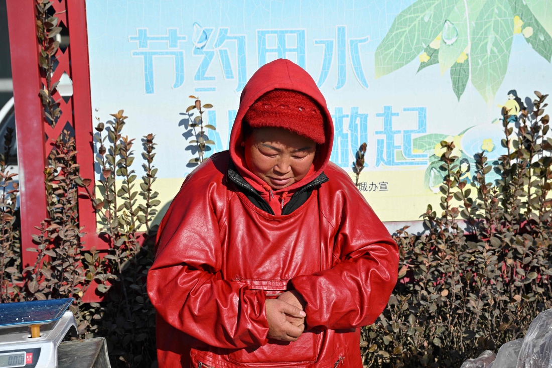 A vendor waits for customers at a traditional market in a neighbourhood affected by the heating subsidy policy, in Baoding city, northern China's Hebei province. (AFP)