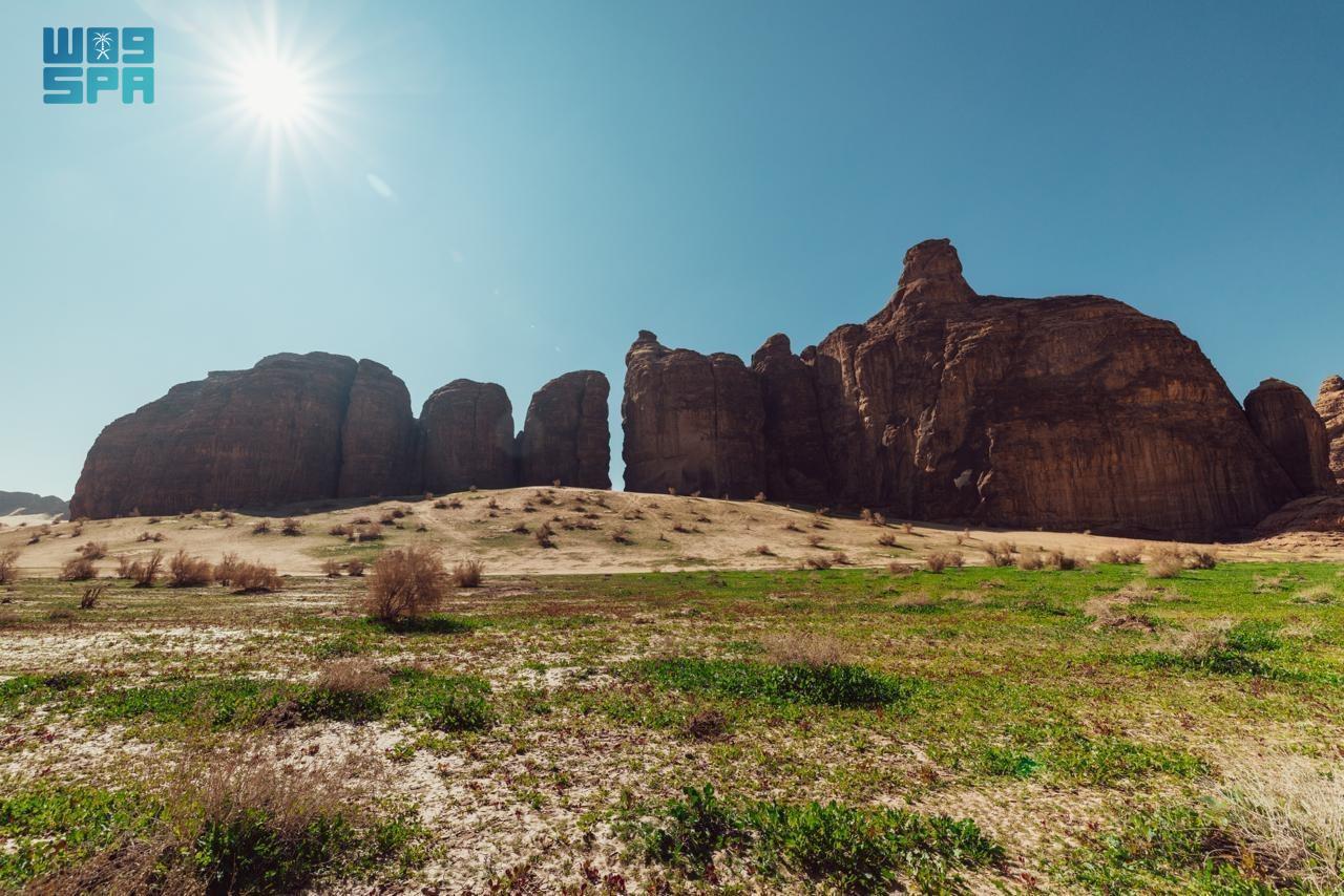 The measures form part of broader efforts to prevent environmentally harmful behavior and safeguard AlUla’s natural and cultural heritage. (SPA)