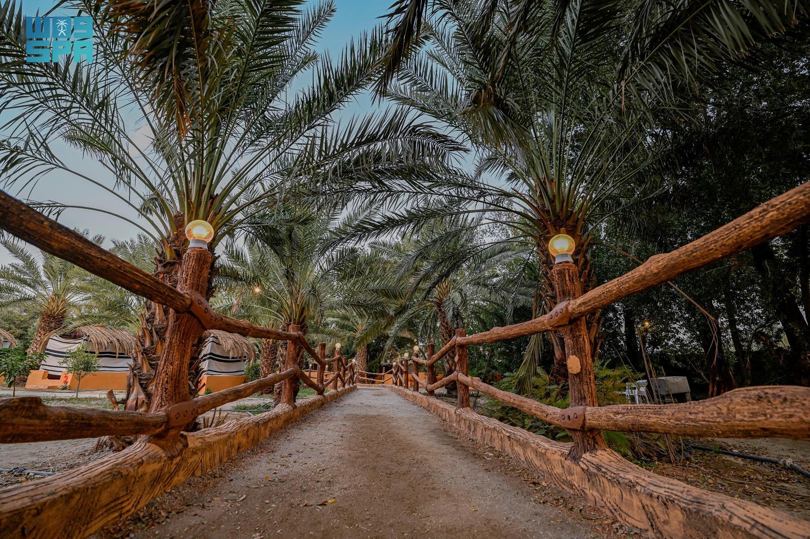 Baha tourist farms draw winter crowds