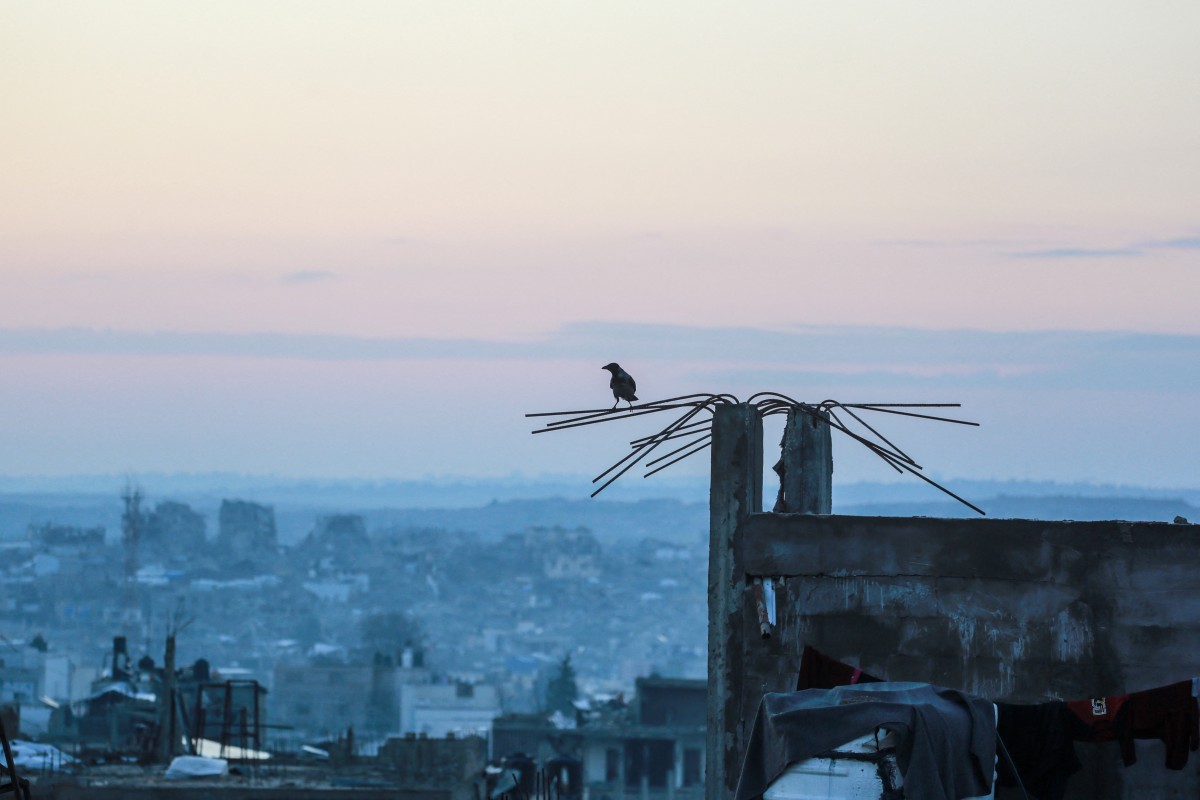 A bird rests on the steel reinforcement bars of a destroyed building in Jabalia, in the northern Gaza Strip, Dec. 24, 2025. (AFP)