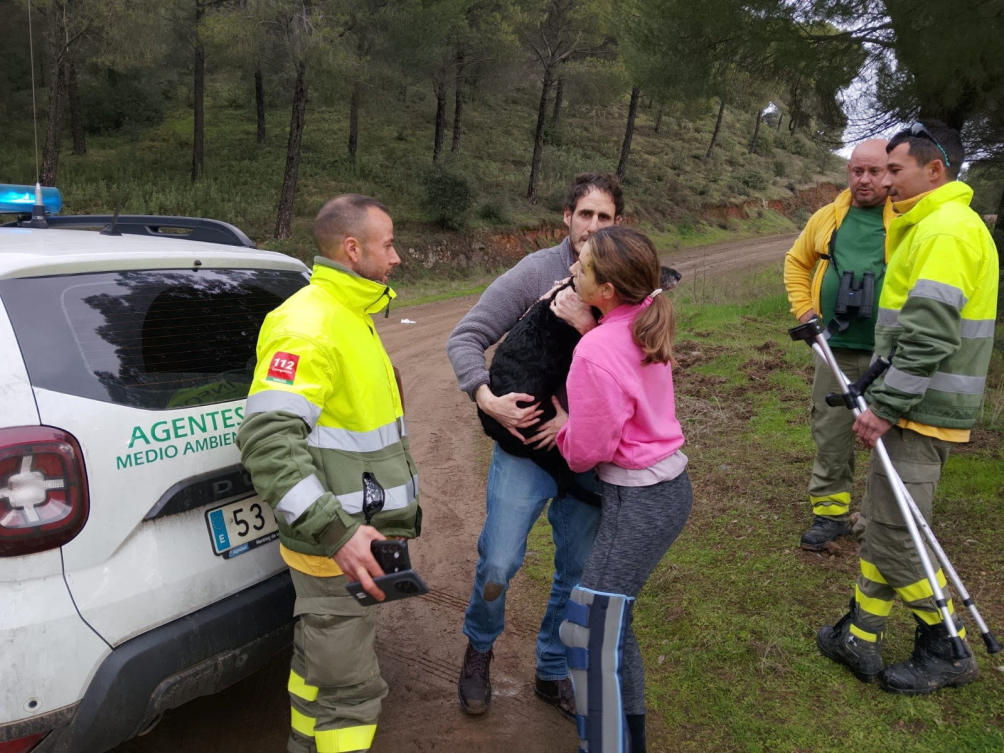 Recovery of missing dog Boro brings hope after Spain’s train crashes