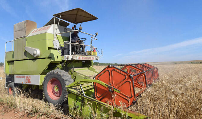 Tunisia buys estimated 100,000 tons soft wheat and about 100,000 tons durum in tender, traders say