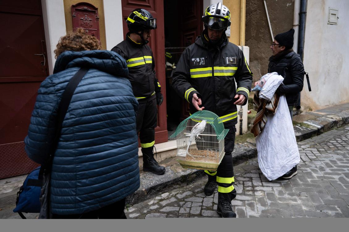 Parrots rescued as landslide-hit Sicilian town saves pets