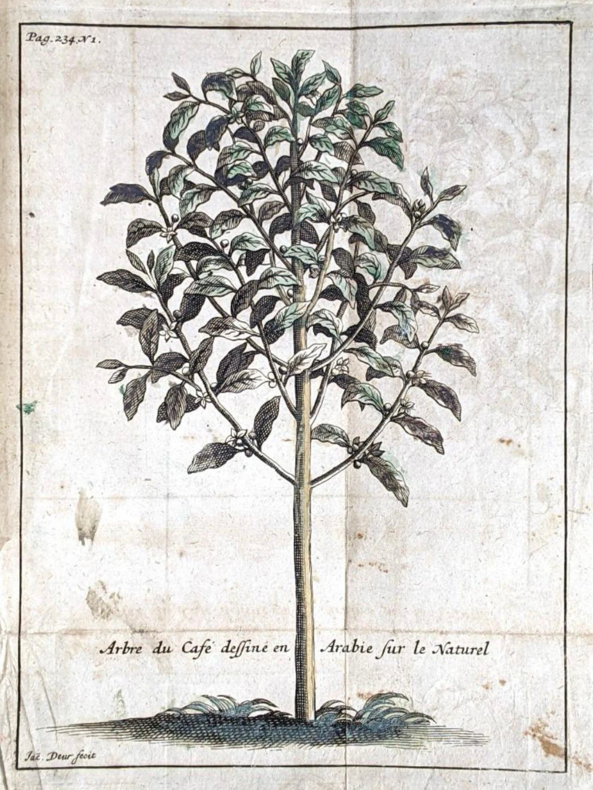 ‘Voyage de l’Arabie Heureuse’ by French merchant and traveler Jean de La Roque provides early written evidence connecting products from southern Arabia’s highlands to Europe’s coffeehouse culture. (Supplied)