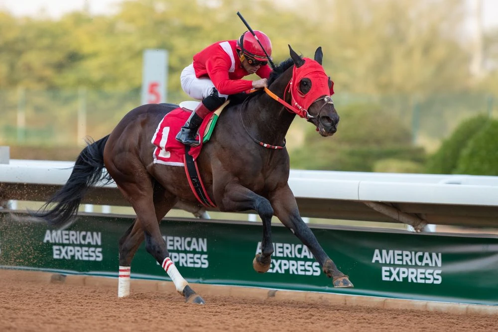 Joel Rosario wins in the Red Stable colours on Ancestral Land (GB) at King Abdulaziz Racecourse on January 25, 2025. (JCSA/Ali Abdullah Alzunaydi)