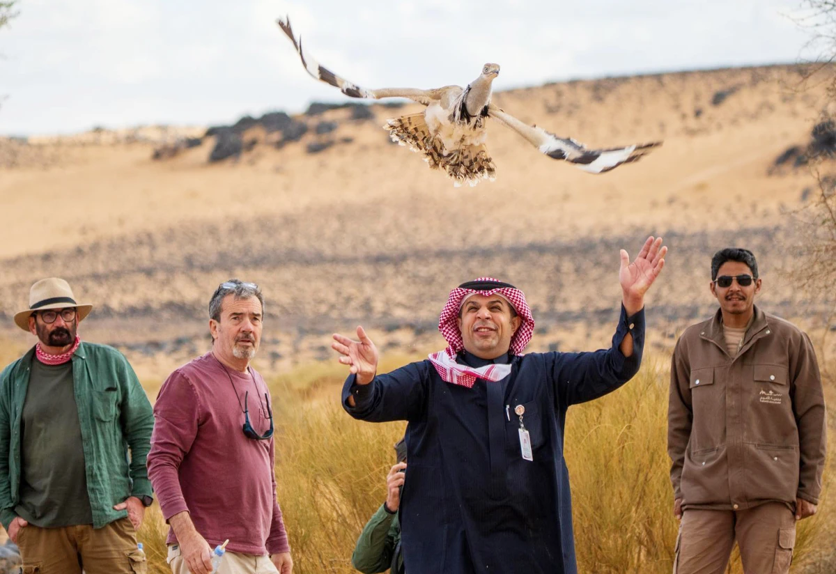 Saudi conservation efforts bring Asian houbara back to the wild