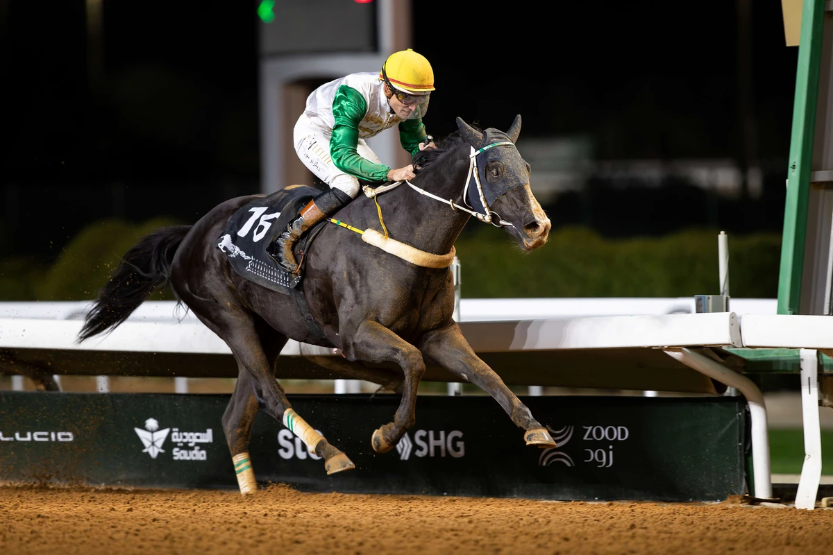 Mhally lands Saudi Cup start
