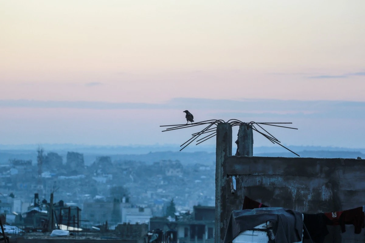 A bird rests on the steel reinforcement bars of a destroyed building in Jabalia, in the northern Gaza Strip, Dec. 24, 2025. (AFP)