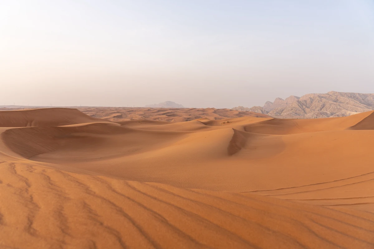 Faya: Where humanity’s earliest stories were written