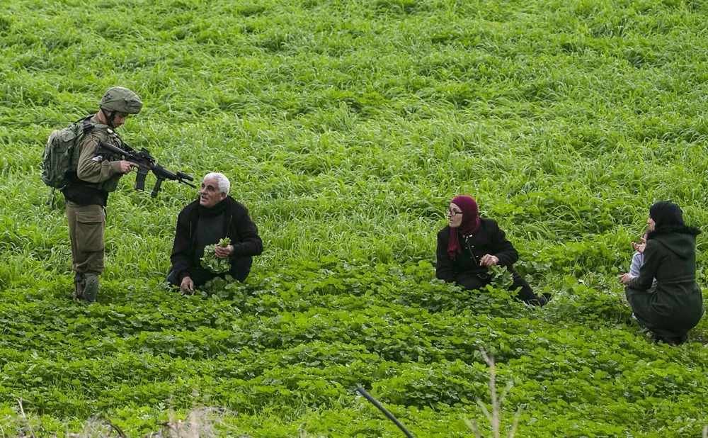 Activists and rights groups say settler attacks and army raids on Palestinian farmers are not isolated events but part of a broader campaign. (Reuters)