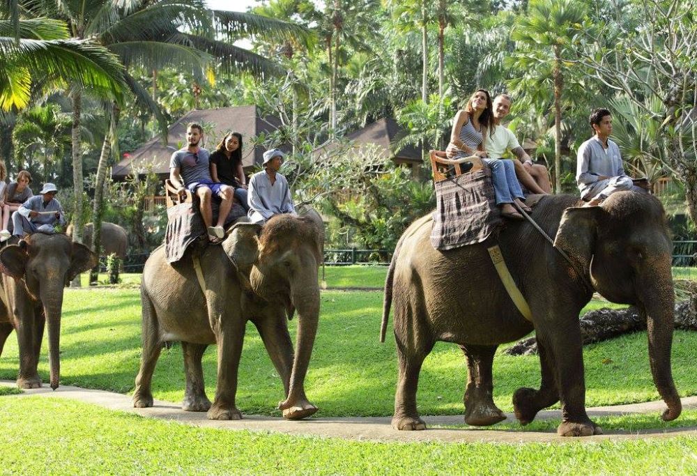 Visitors partake in elephant rides in Bali, Indonesia, Apr. 23, 2017. (Facebook/Mason Elephant Park & Lodge)