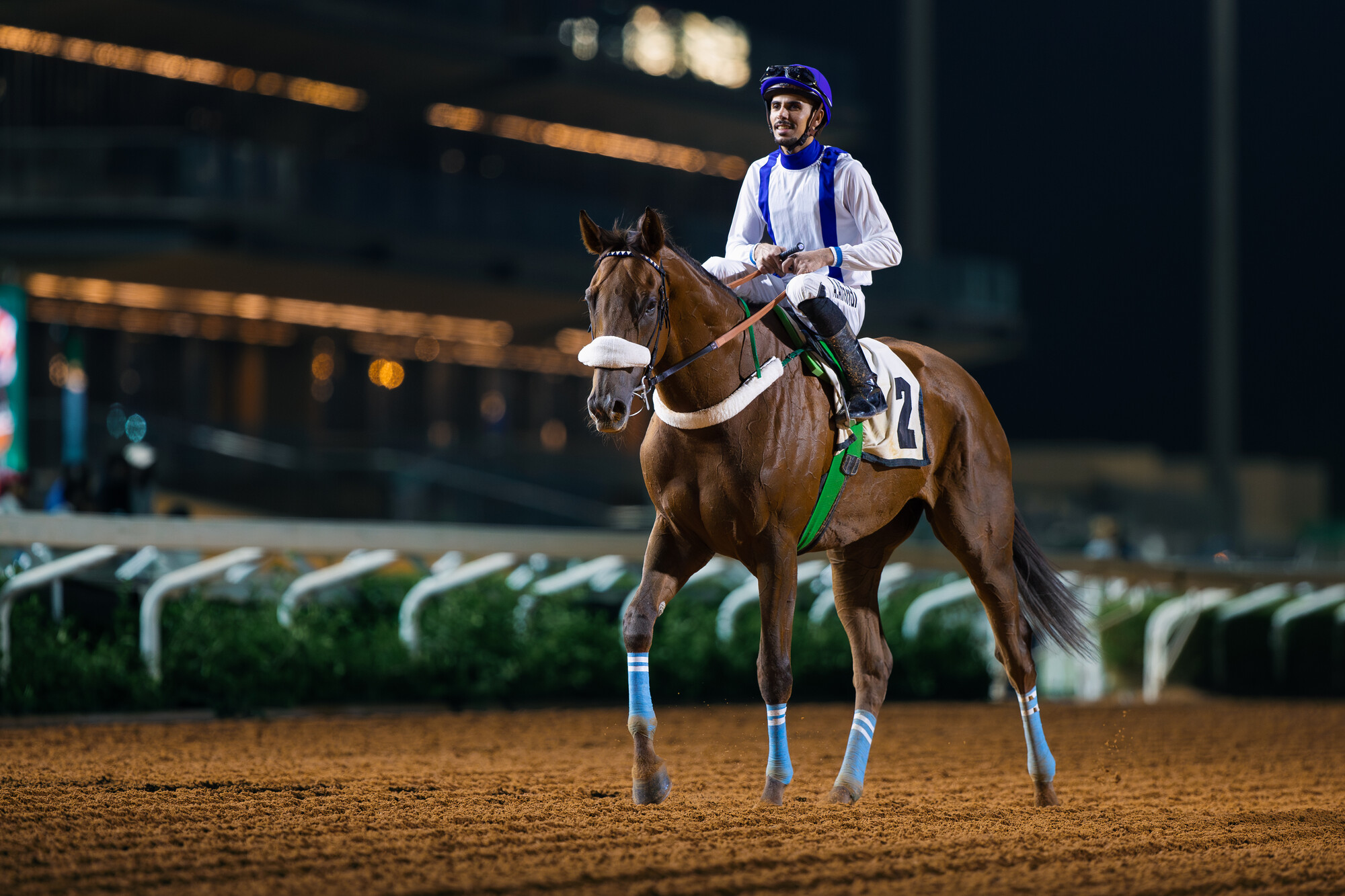 Adel Alfouraidi at King Abdulaziz Racecourse, Oct. 14, 2025. (JCSA/Ali AlZenaidi)