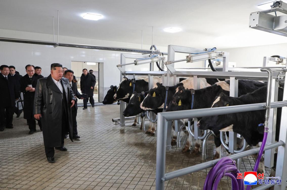 North Korean leader Kim Jong Un inspects the Samgwang Stockbreeding Farm in North Pyongan Province on Feb. 2, 2026. The US has approved humanitarian sanctions exemptions for Pyongyang.(KCNA via KNS/AFP)