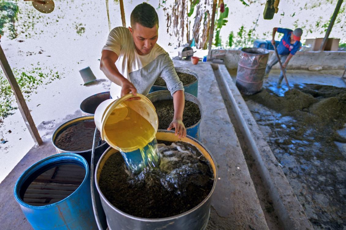 People work in the production of coca base at a makeshift laboratory in the mountains of El Patia municipality of Cauca in Colombia on May 5, 2021. (AFP file photo)
