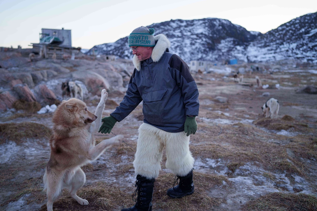 Kristensen pets his sled dog before a ride in Ilulissat, Greenland. (AP)