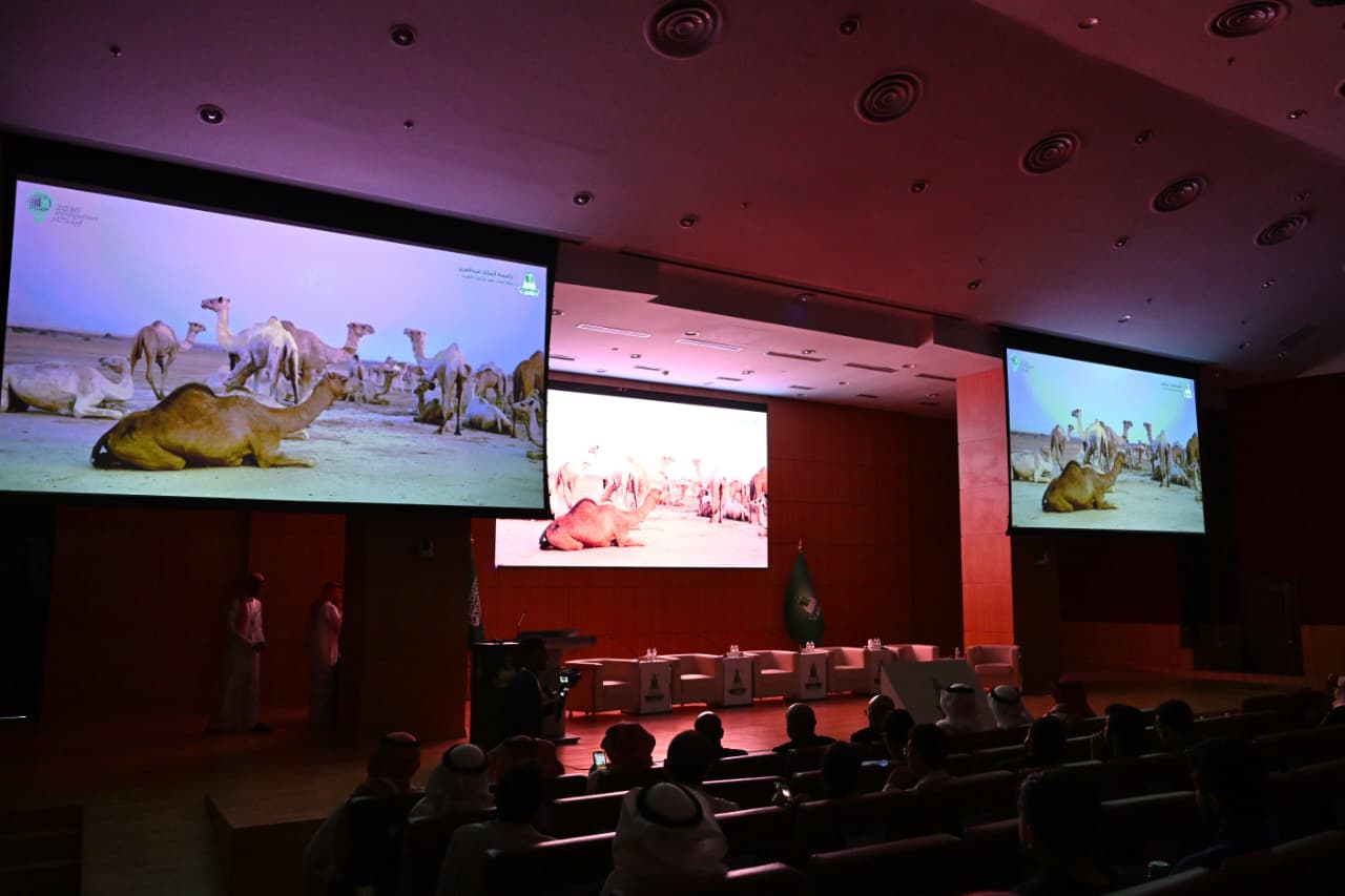 Experts explore camels’ potential in health innovation