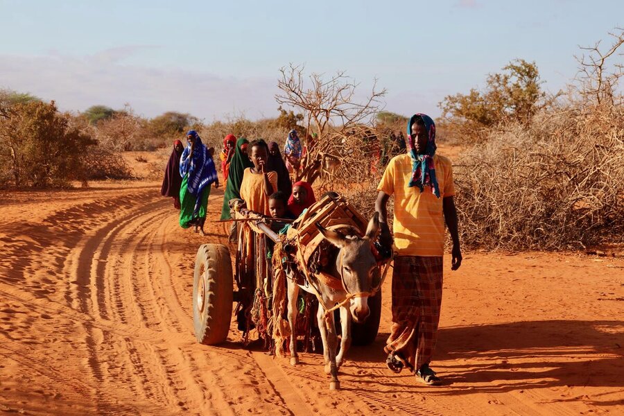 Somalia declared a national drought emergency in November after years of failed rains. (WFP/File)