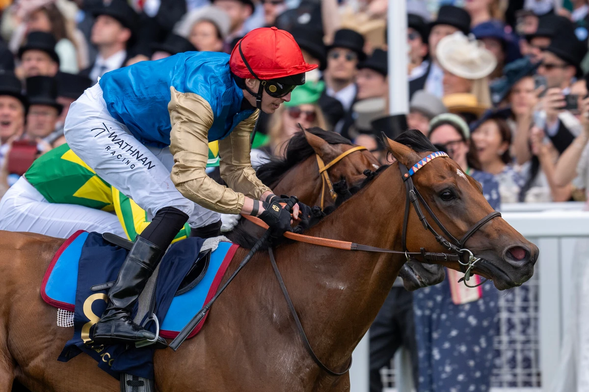Reynier pair primed for Saudi Cup night