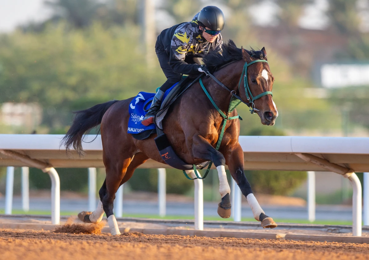 Panja leading Japan’s challenge for another 1351 Turf Sprint