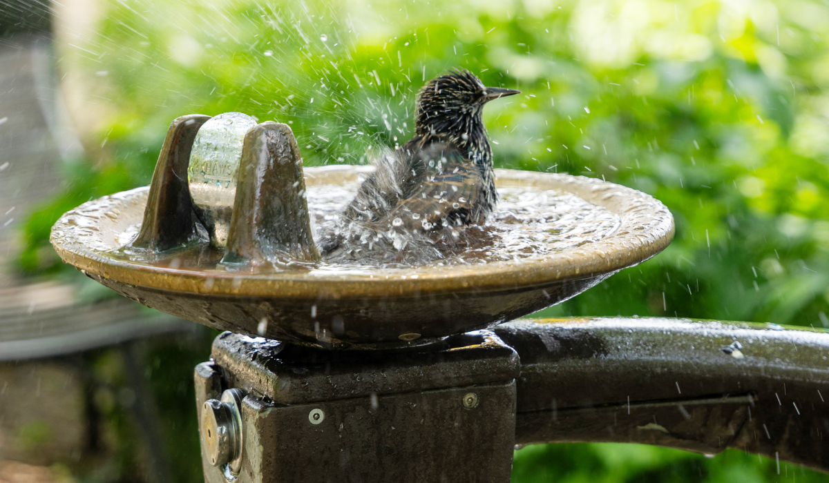 El Nino may return in 2026 and make planet even hotter