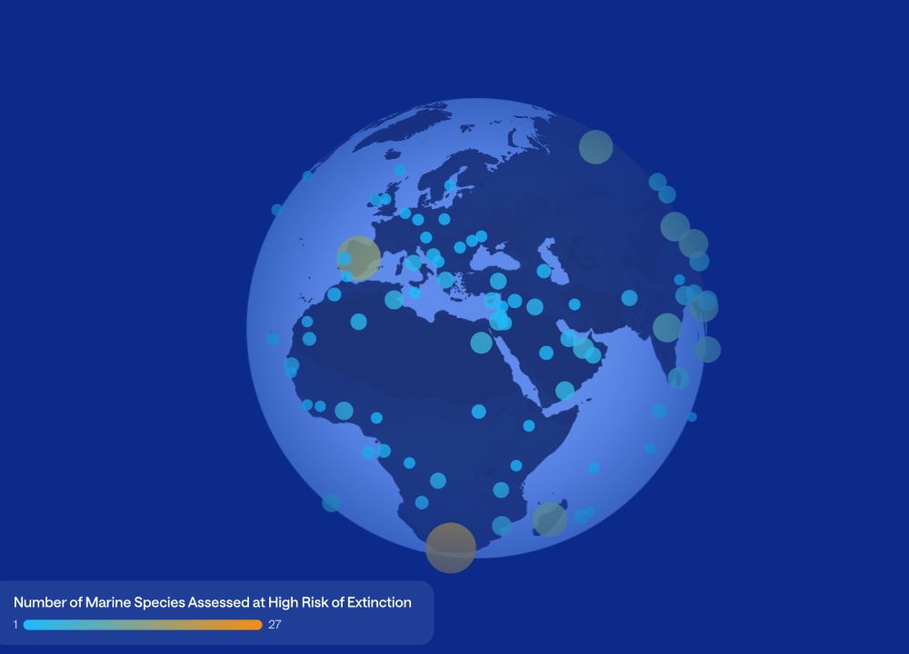 The upgraded Ocean Central platform, powered by Wave, offers enhanced data insights and AI-driven tools to support ocean regeneration efforts by 2050. (Supplied)