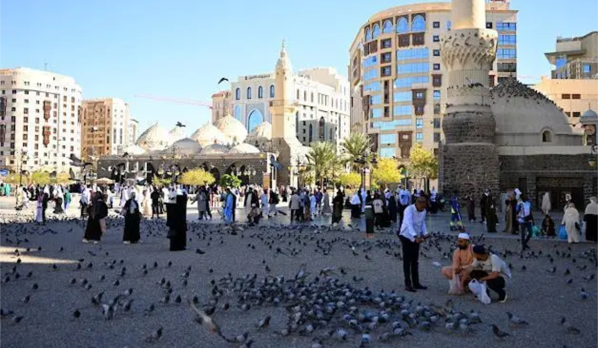 Tourism experiences include the Mount Uhud experience, the free Madinah city sightseeing tour, and hiking and camping. (SPA)