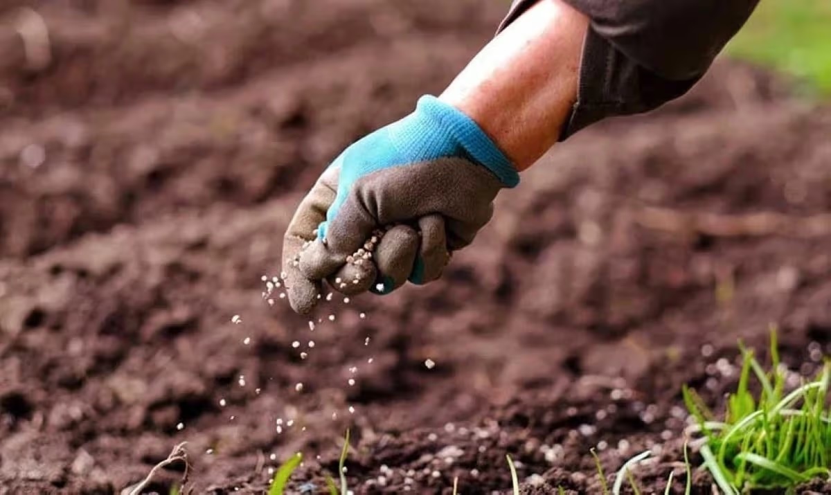The price of urea in Southeast Asia has jumped by more than 40 percent since the Qatari LNG plant went offline. Al-Eqtisadiah
