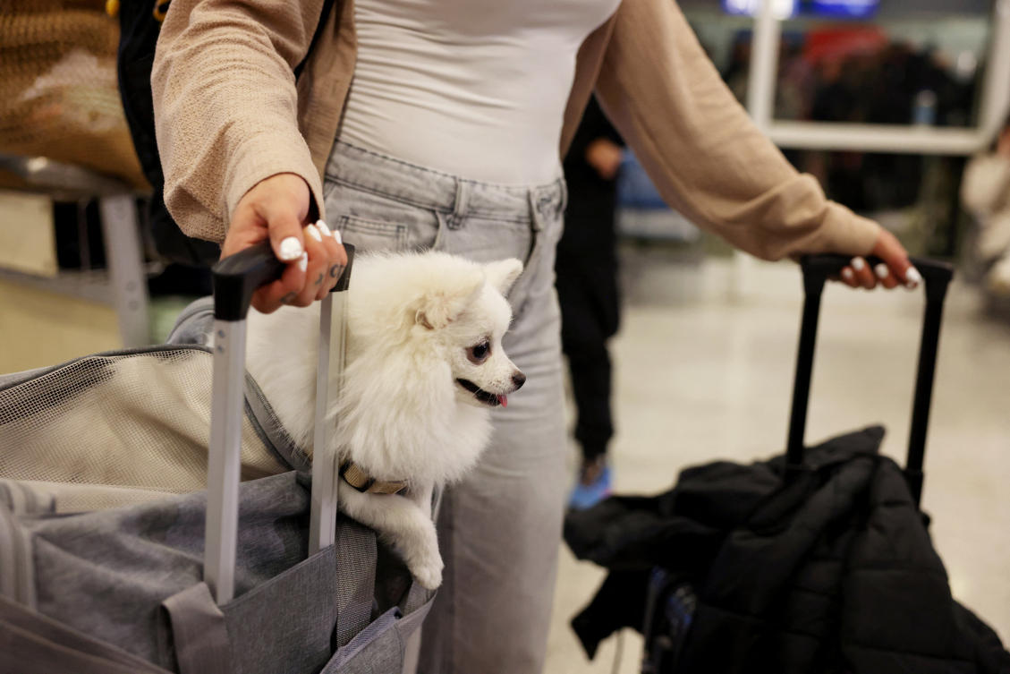 A repatriated Greek and her dog evacuated from Abu Dhabi arrive at the Eleftherios Venizelos International Airport amid the U.S.-Israeli conflict with Iran, in Athens, Greece, March 18, 2026. (REUTERS)