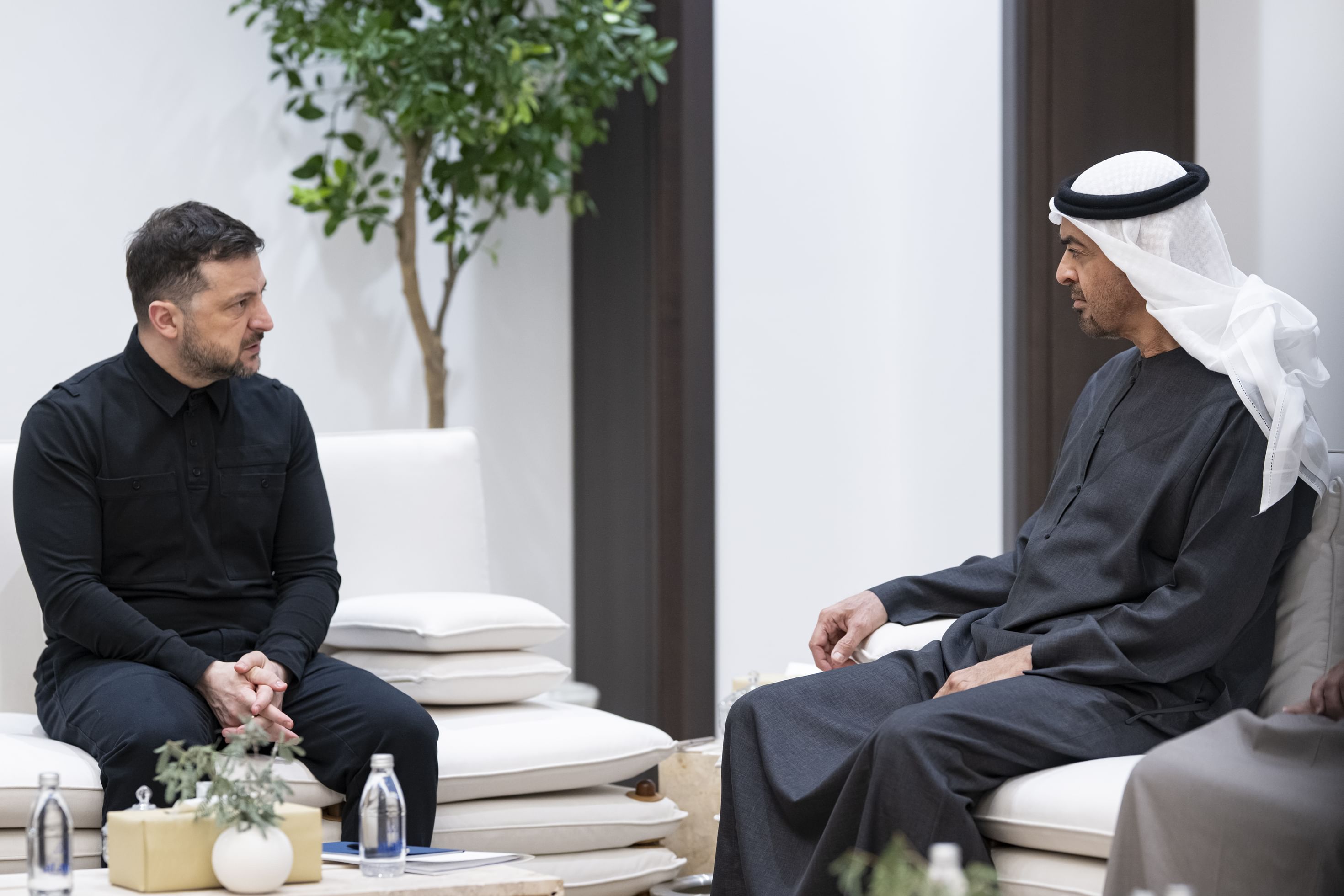 UAE, Ukrainian presidents discuss cooperation and regional developments