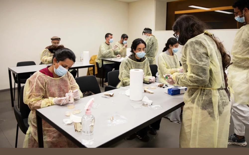 Diriyah Art Futures to launch April workshop program