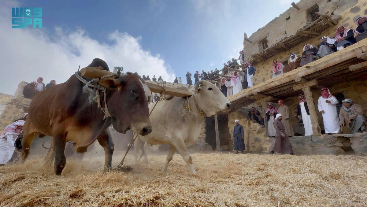 Al-Madana Heritage Village showcases cultural traditions in northern Asir