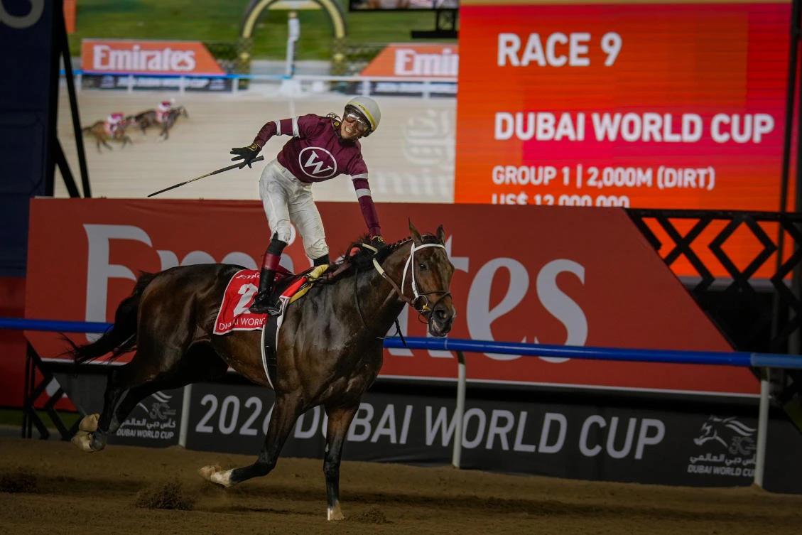 Jockey Jose Ortiz, aboard Magnitude, reacts as he approaches the finish line to win the $12 million Dubai World Cup horse race over 2000m (10 furlongs) at Meydan Racecourse in Dubai, the United Arab Emirates, Saturday, March 28, 2026. (AP)