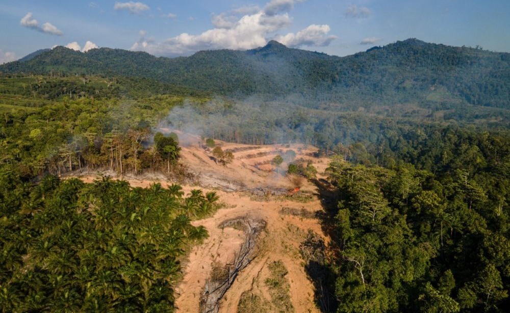 Smoke rises during the deforestation of a new planting area for palm oil plantations in Lamno, Indonesia's Aceh province on Jan. 18, 2026. (AFP)