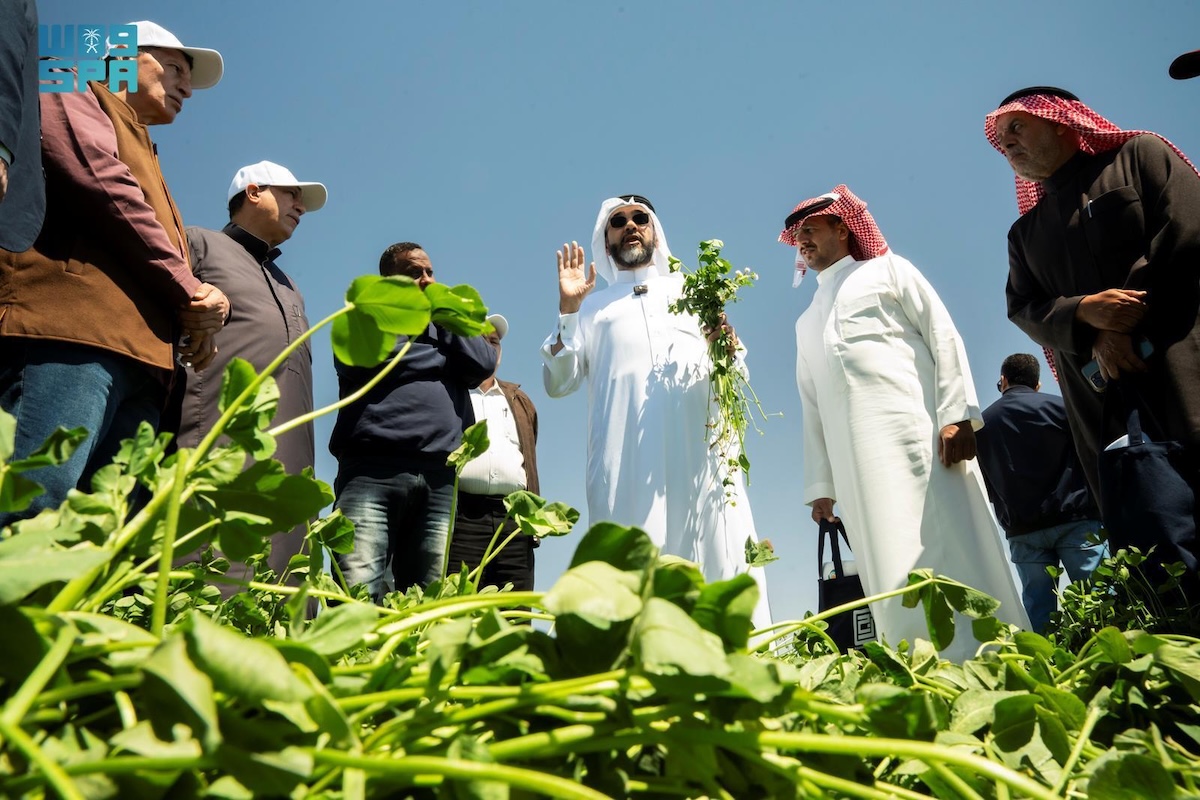The event, attended by local farmers and stakeholders, aimed to improve production efficiency and enhance harvesting and baling techniques to boost quality and reduce resource loss. (SPA)