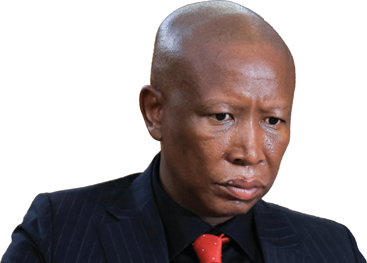 South African politician Julius Malema sentenced to 5 years for firing rifle shots at rally