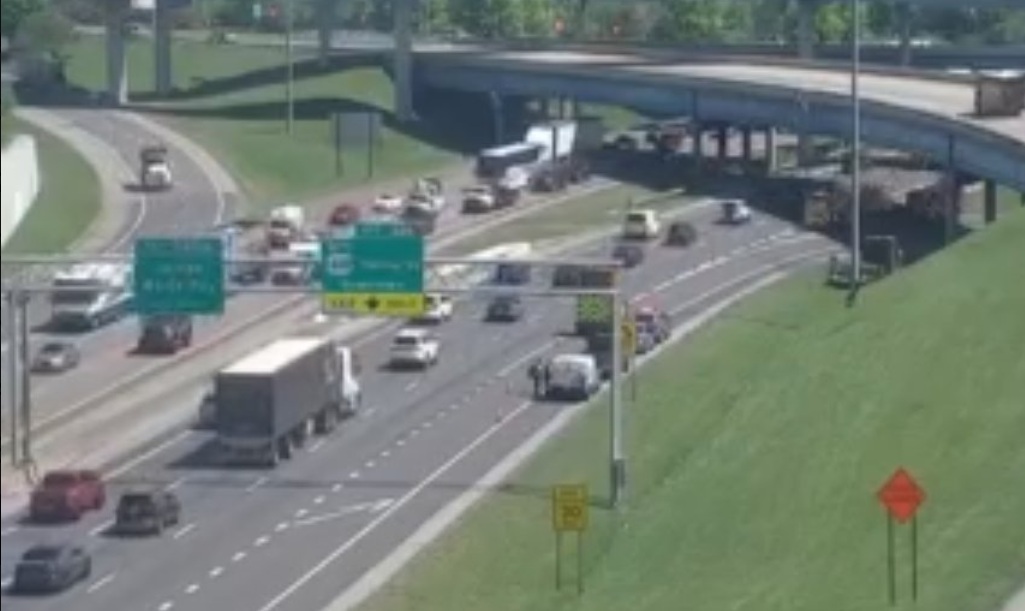 1 million bees make for bumper-to-buzzer traffic on a Tennessee highway ramp