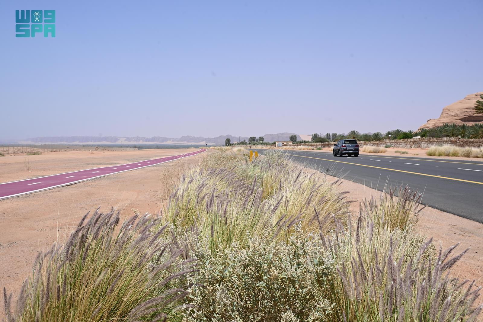 AlUla governorate is strengthening its position as a model for ecological restoration through its native plant nursery and seed bank. (SPA)
