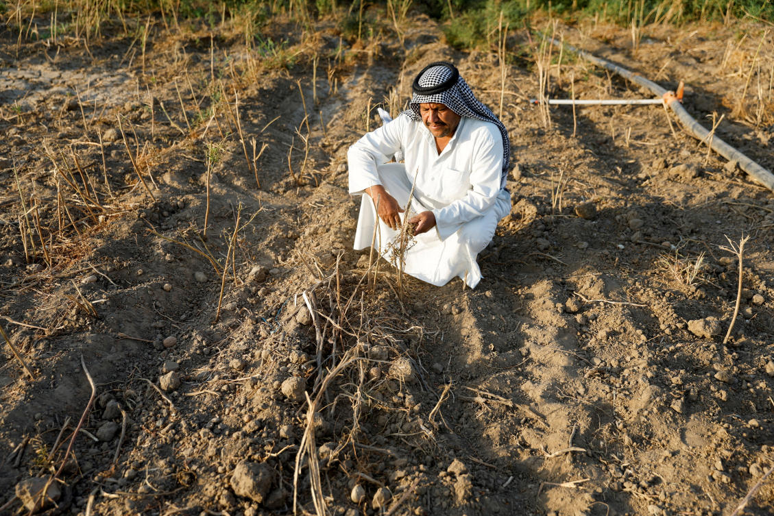 Extreme heat threatens global food systems, UN agencies warn