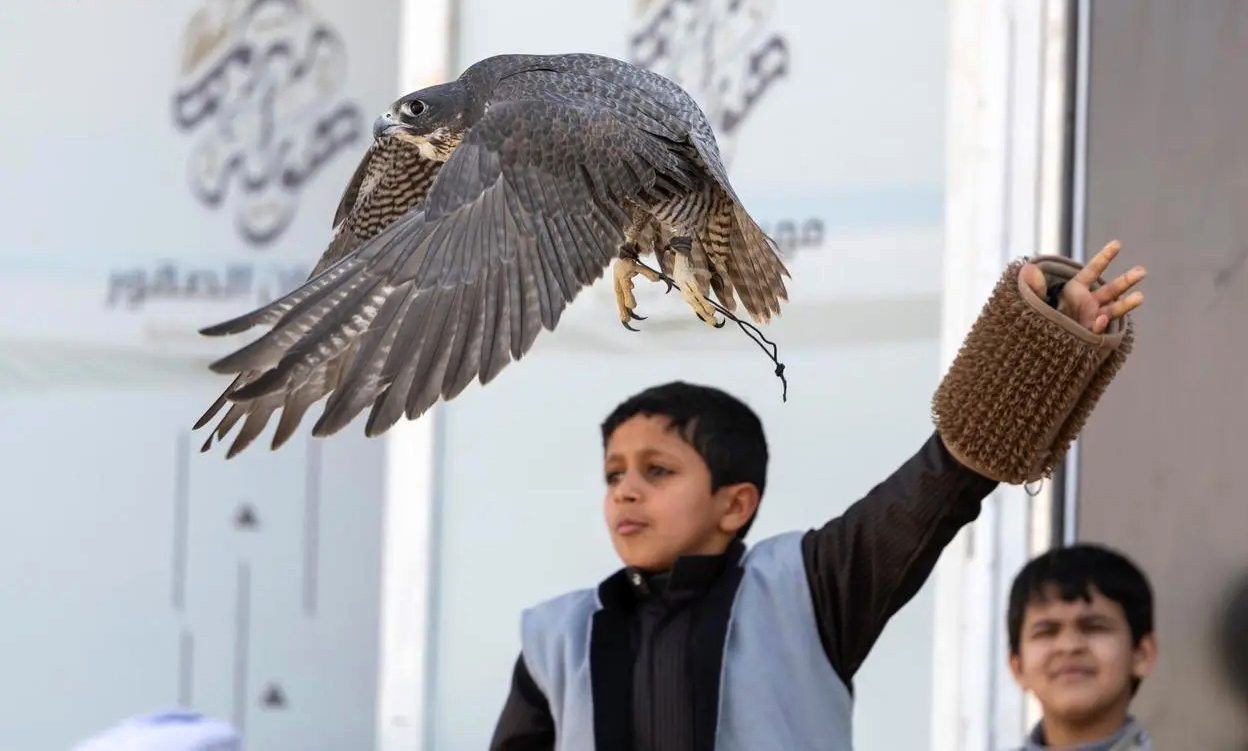 The Melwah racing will run from Oct. 4 to 9, with falconers competing for prizes and titles. (FILE/AFP)