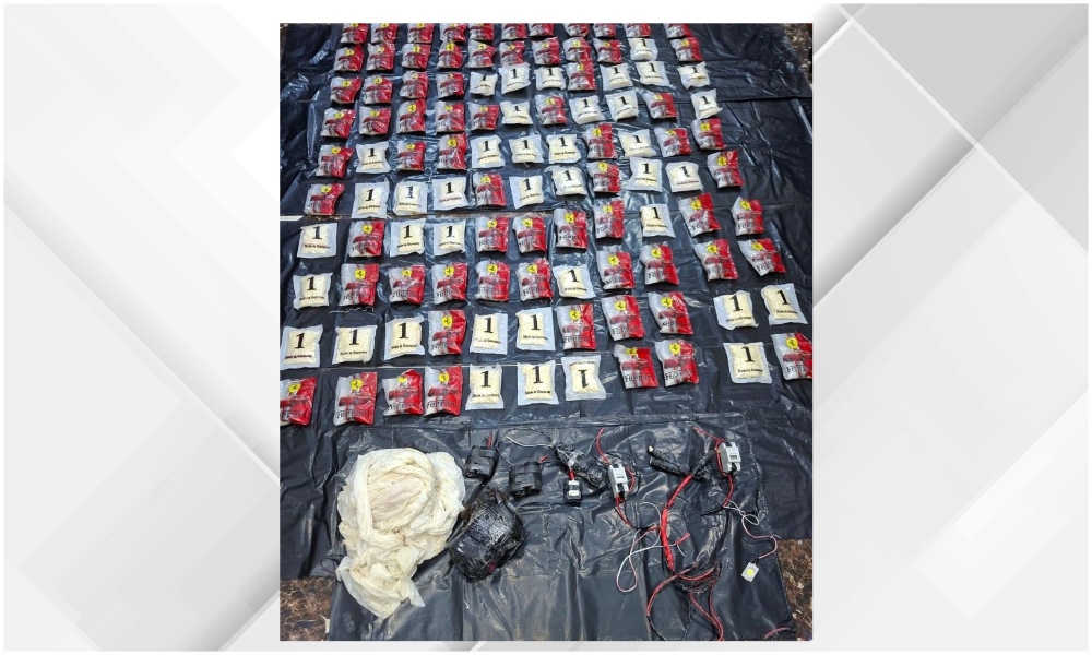 Border Guard forces thwarted the attempt in collaboration with the Anti-Narcotics Department, seizing the drugs. (Petra)