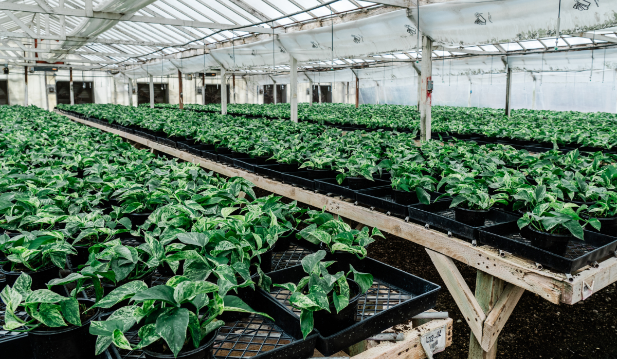 Why biotech ecosystems fail after early success