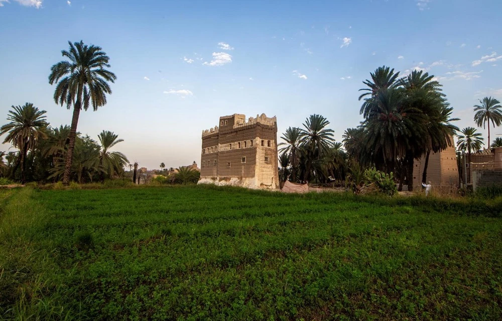 Palm trees hold cultural significance beyond dates, with trunks used for roofs and furniture, and fibers and fronds crafted into products that support self-sufficiency. (SPA)