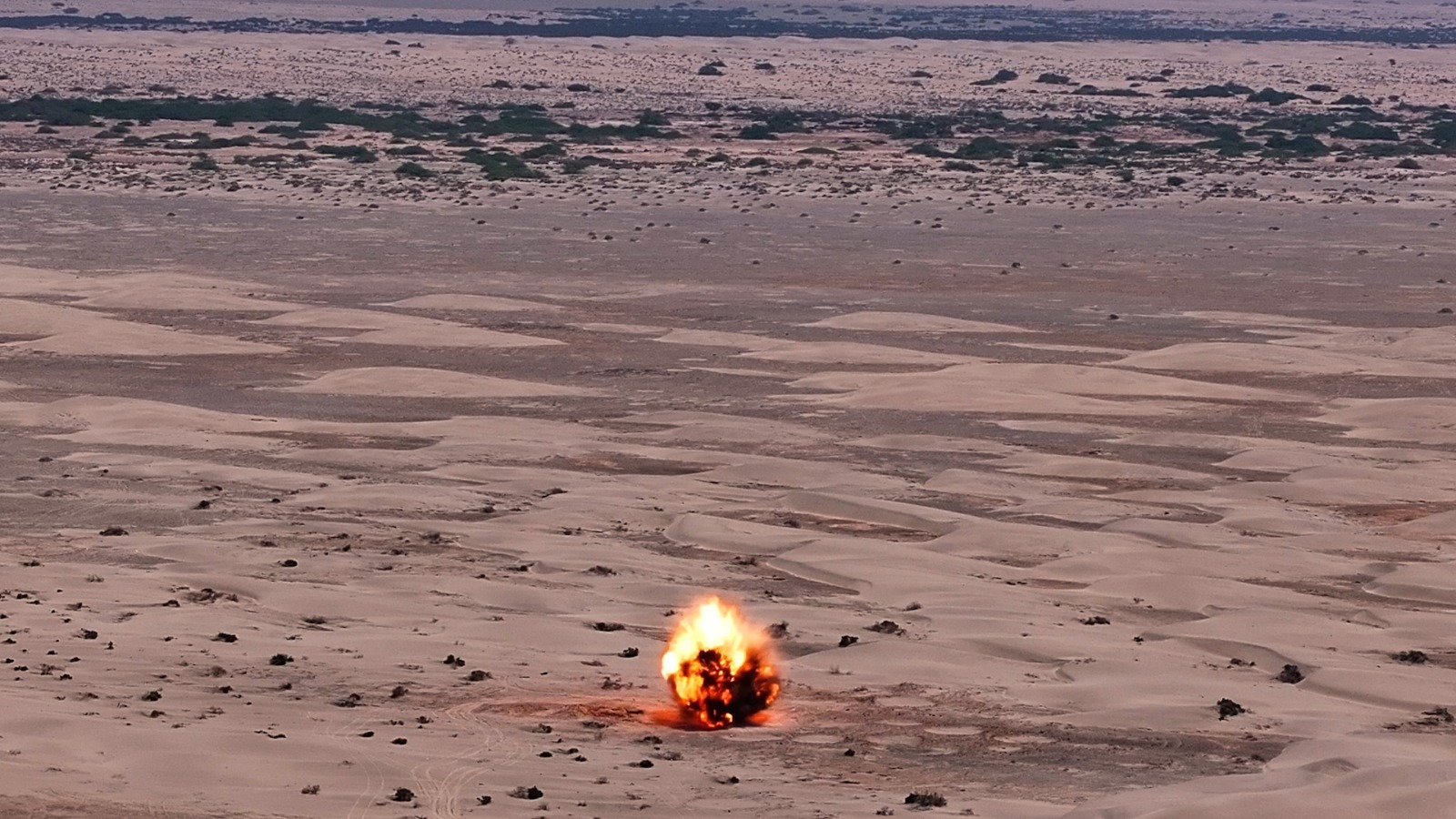 Masam project clears 4,076 war remnants in Abyan