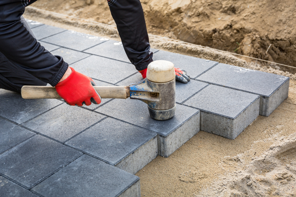 Construction recorded a reading of 55.7 points, supported by positive outlooks on key business indicators. Shutterstock