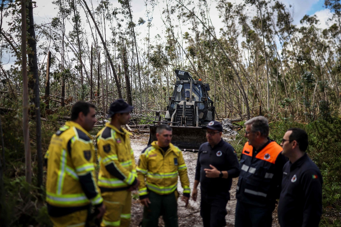 A military tractor clears paths in a eucalyptus trees forest at Marinha Grande, central Portugal. (AFP)