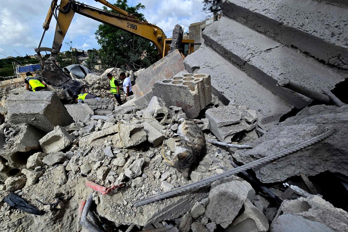 A cat lies dead as Lebanese civil defense workers search through the rubble in the southern Lebanese village of Deir Qanun Al-Nahr on May 20, 2026, a day after Israeli strikes. (AFP)