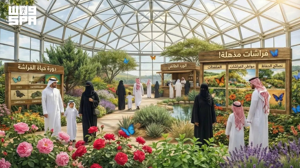 Saudi Arabia unveils new wildlife safari, birdwatching projects