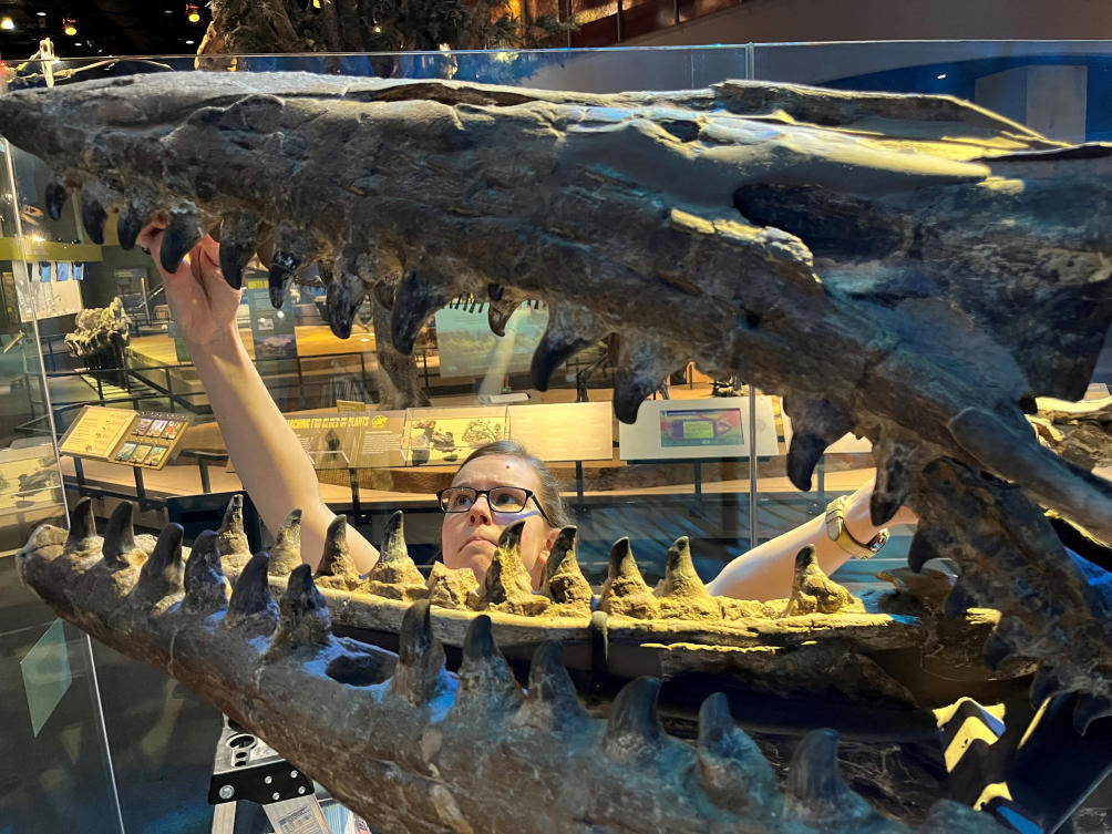 Fearsome dinosaur-era marine reptile was the T. rex of the sea