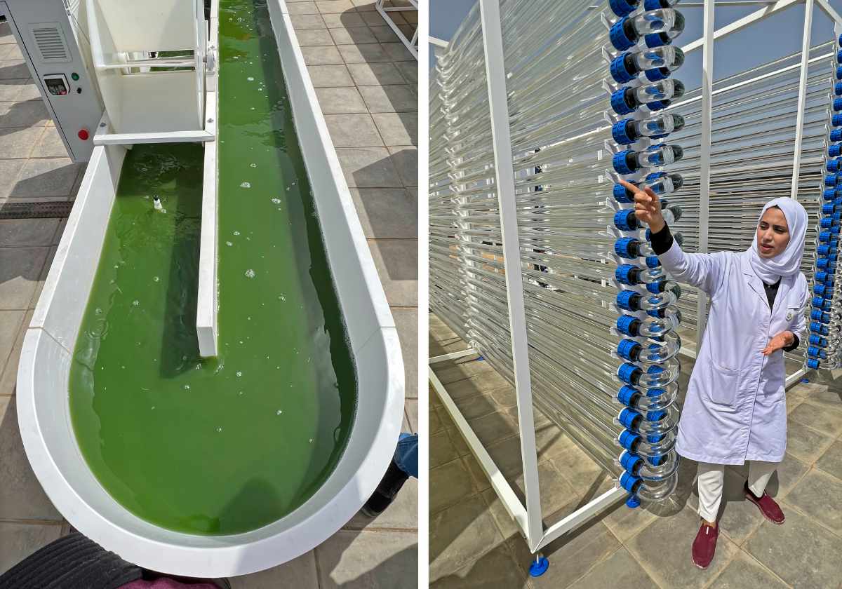 Biotech ecosystems are built through persistence, not breakthroughs
