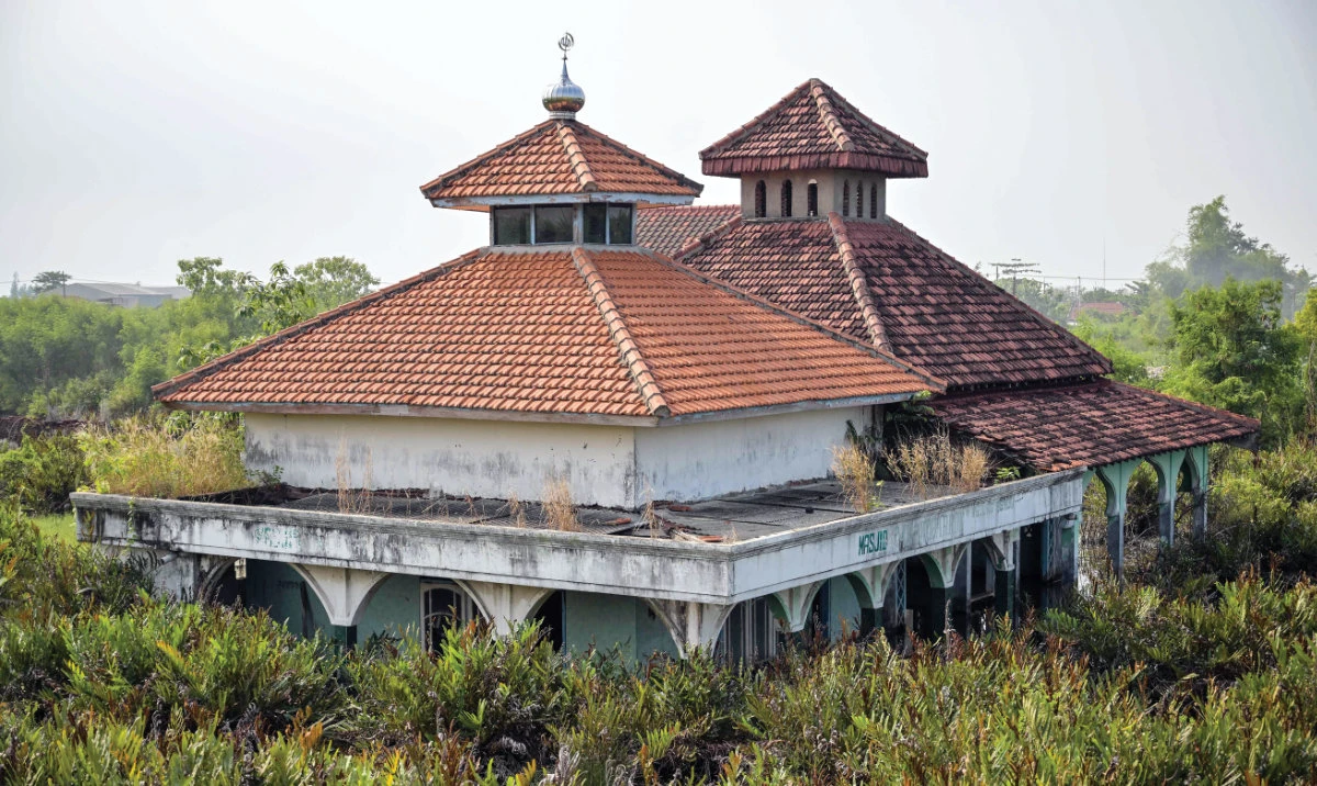 Two decades later, impacts from Indonesia mud volcano linger